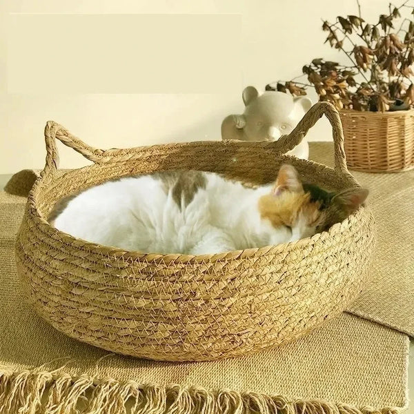Hand-Woven Rattan Cat Bed with Removable Cushion – All-Season Design